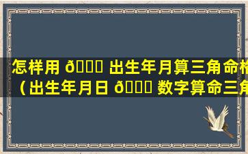 怎样用 🐅 出生年月算三角命格（出生年月日 🐋 数字算命三角形式）